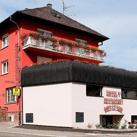 Logis Au Bois Le Sire 3* Orbey