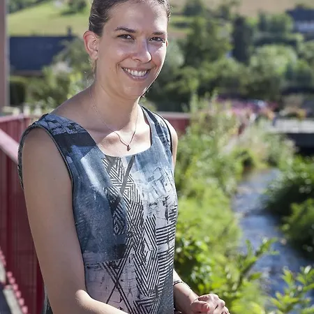 Logis Au Bois Le Sire